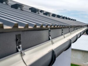 Roof and Gutter Cleaning: Essential Tips and Best Practices